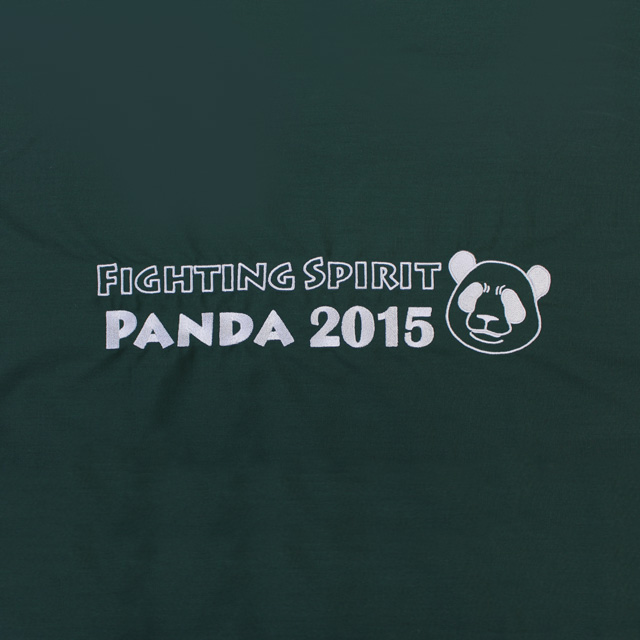 PANDA2015