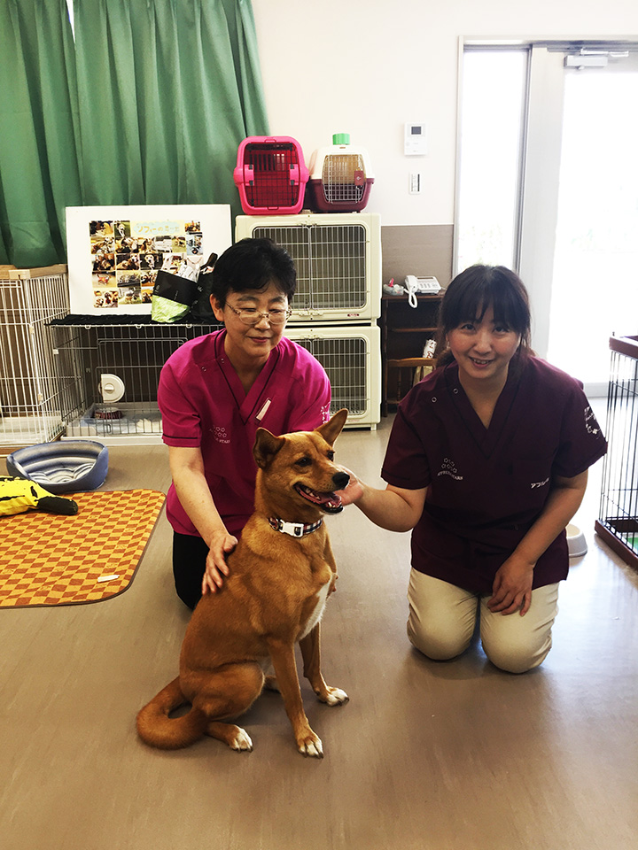 アプルール秦野様グランドオープン！